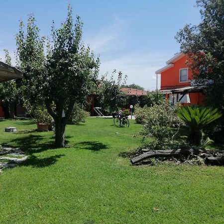 Il Bouganville Oristano Bagian luar foto
