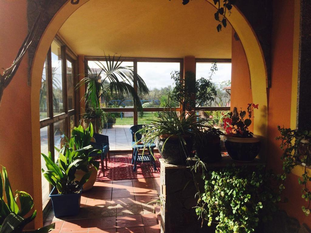 Il Bouganville Oristano Bagian luar foto