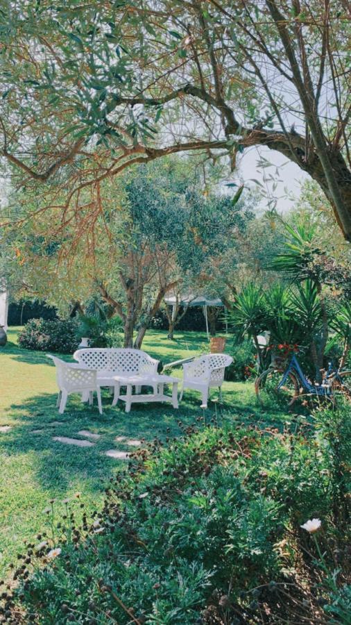 Il Bouganville Oristano Bagian luar foto