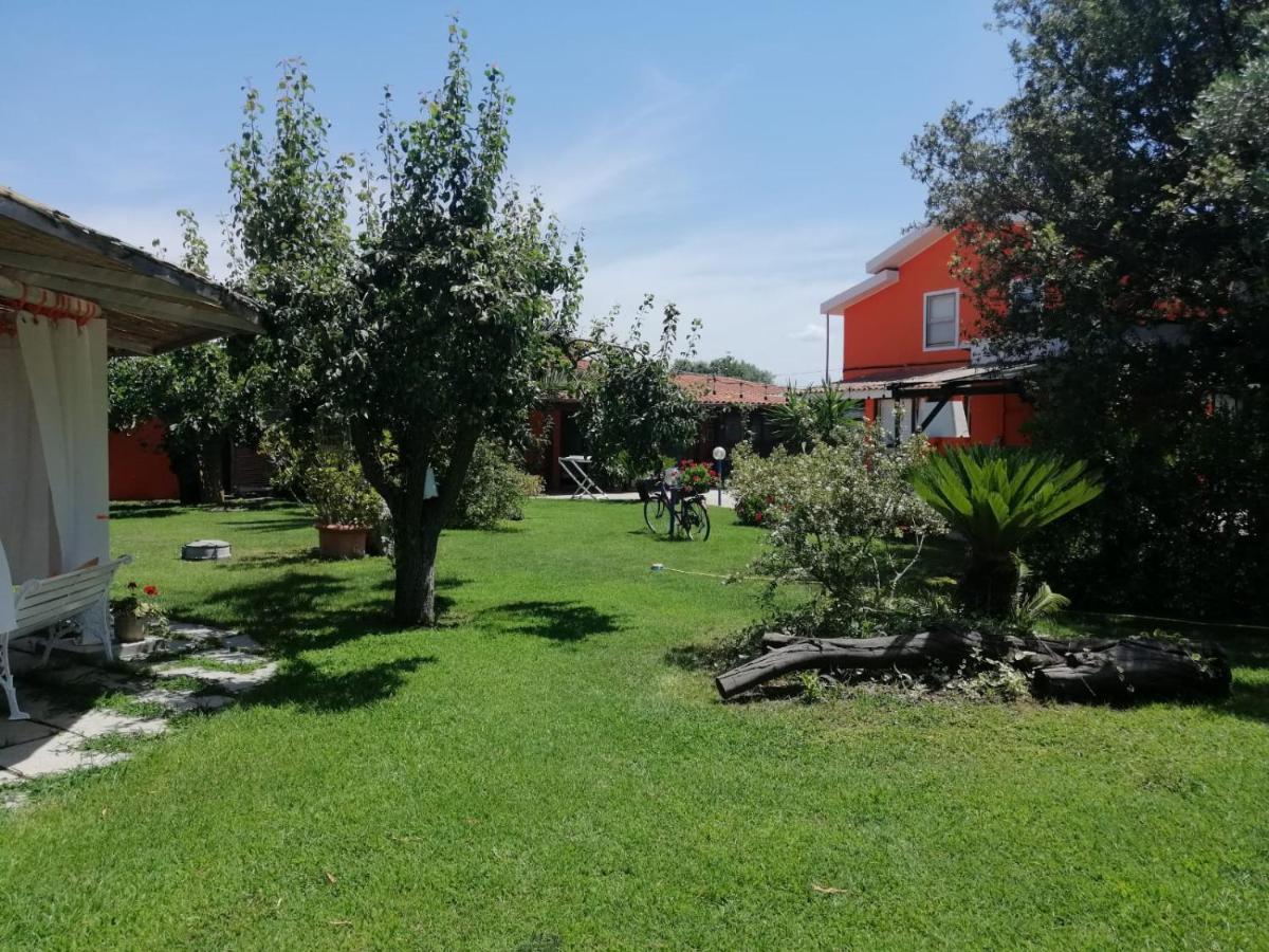 Il Bouganville Oristano Bagian luar foto